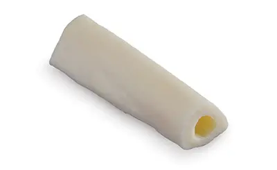 Fibula
