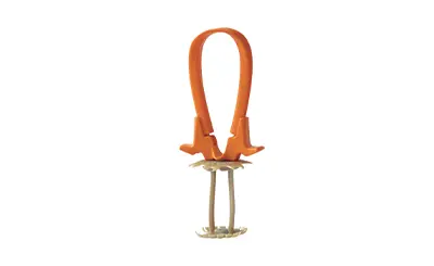 Cranial Loop Flap Fixation