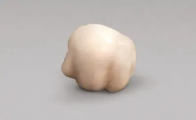 Metatarsal