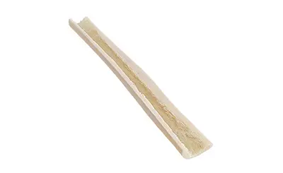 Tibia
