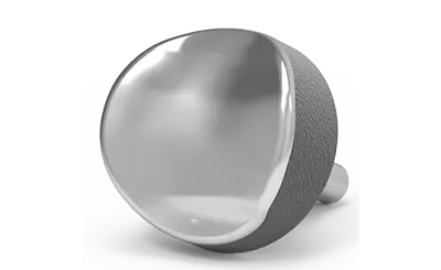 Episealer® Knee