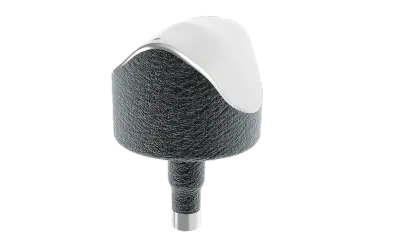 Episealer® Talus