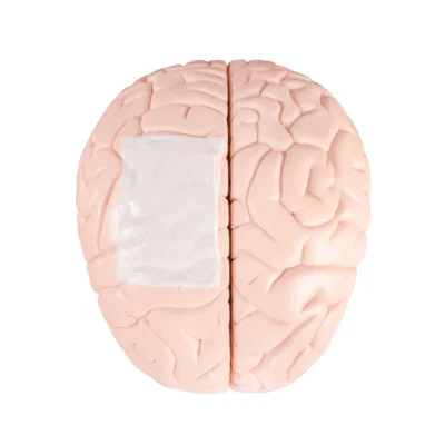 NeoDura absorbable dural repair patch, view 3