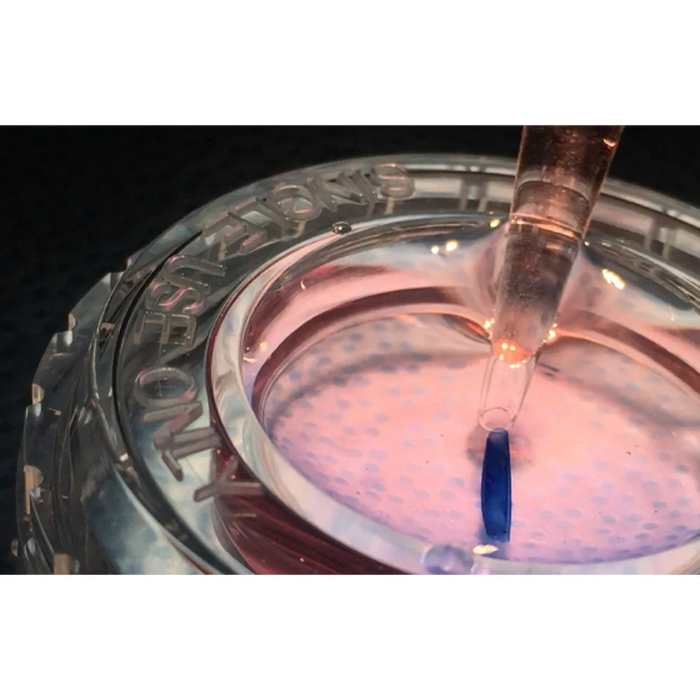 Chorion Allograft