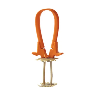 Cranial Loop Flap Fixation