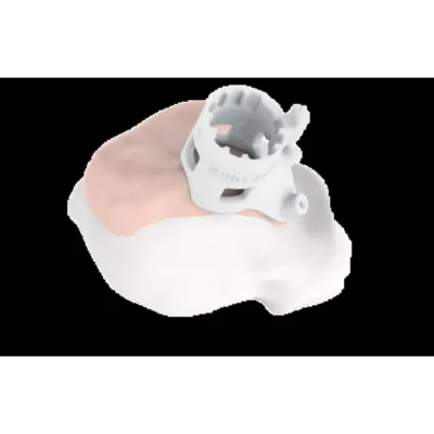 Episealer Talus