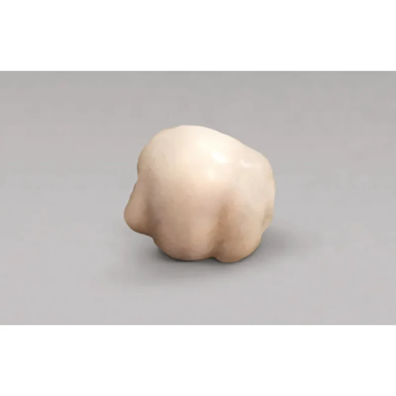 Metatarsal
