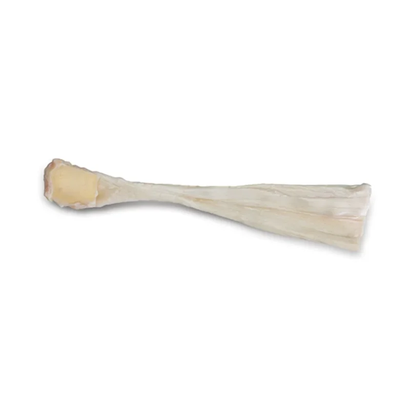 Tendon