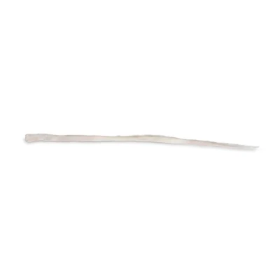 Tendon
