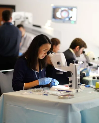 Delegate using a microscope during the wet lab session