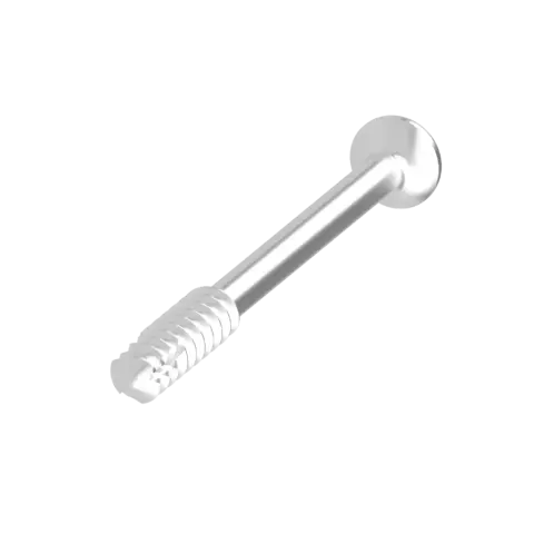 RemeOs™ Screw LAG Solid